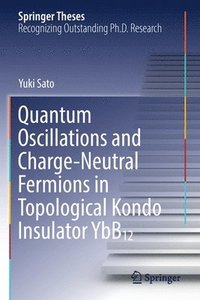 bokomslag Quantum Oscillations and Charge-Neutral Fermions in Topological Kondo Insulator YbB