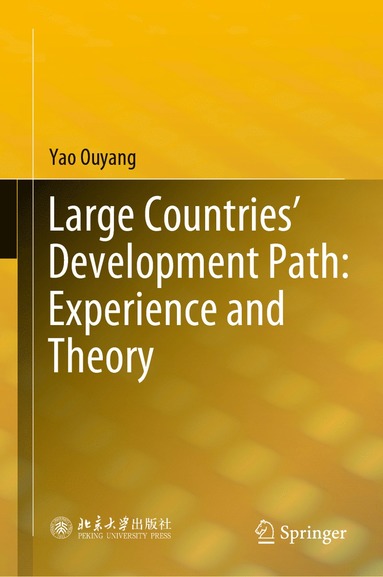 bokomslag Large Countries' Development Path: Experience and Theory