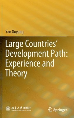 Large Countries Development Path: Experience and Theory 1