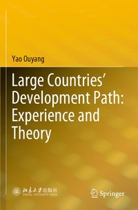 bokomslag Large Countries' Development Path: Experience and Theory