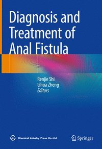 bokomslag Diagnosis and Treatment of Anal Fistula