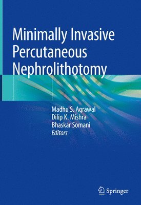 bokomslag Minimally Invasive Percutaneous Nephrolithotomy