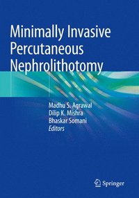 bokomslag Minimally Invasive Percutaneous Nephrolithotomy