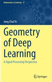 bokomslag Geometry of Deep Learning