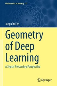 bokomslag Geometry of Deep Learning