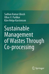 bokomslag Sustainable Management of Wastes Through Co-processing