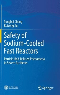 bokomslag Safety of Sodium-Cooled Fast Reactors