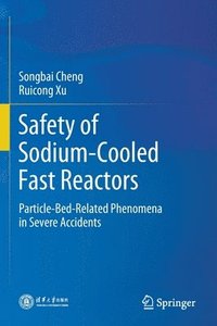 bokomslag Safety of Sodium-Cooled Fast Reactors