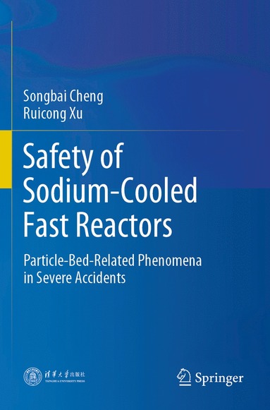 bokomslag Safety of Sodium-Cooled Fast Reactors