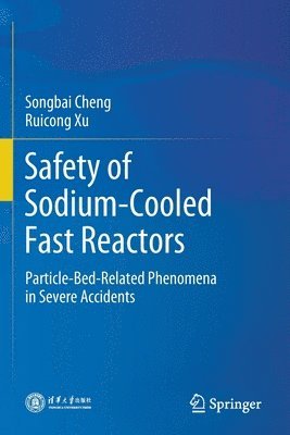 Safety of Sodium-Cooled Fast Reactors 1