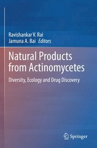 bokomslag Natural Products from Actinomycetes