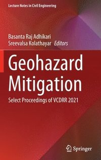 bokomslag Geohazard Mitigation