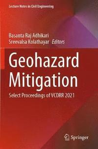 bokomslag Geohazard Mitigation
