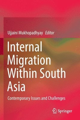 bokomslag Internal Migration Within South Asia