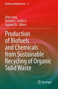 bokomslag Production of Biofuels and Chemicals from Sustainable Recycling of Organic Solid Waste