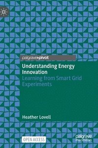 bokomslag Understanding Energy Innovation