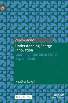 Understanding Energy Innovation 1