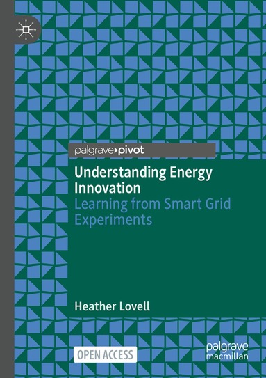 Heather Lovell - Understanding Energy Innovation, Häftad