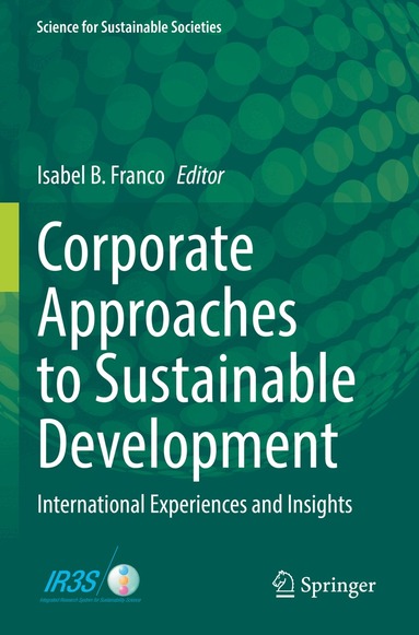 Isabel B. Franco - Corporate Approaches to Sustainable Development, Häftad
