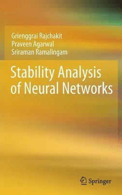 bokomslag Stability Analysis of Neural Networks