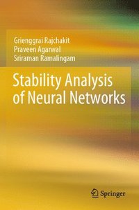 bokomslag Stability Analysis of Neural Networks