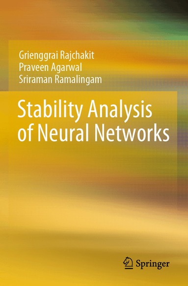 Grienggrai Rajchakit, Praveen Agarwal, Sriraman Ramalingam - Stability Analysis of Neural Networks, Häftad