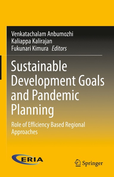 bokomslag Sustainable Development Goals and Pandemic Planning