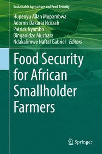 bokomslag Food Security for African Smallholder Farmers