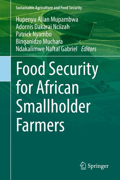 Hupenyu Allan Mupambwa, Adornis Dakarai Nciizah, Patrick Nyambo, Binganidzo Muchara, Ndakalimwe Naftal Gabriel - Food Security for African Smallholder Farmers, Inbunden