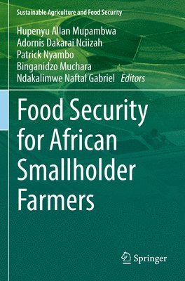 Food Security for African Smallholder Farmers 1