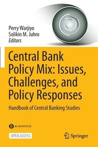 bokomslag Central Bank Policy Mix: Issues, Challenges, and Policy Responses