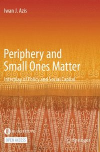 bokomslag Periphery and Small Ones Matter: Interplay of Policy and Social Capital