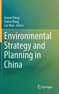 bokomslag Environmental Strategy and Planning in China