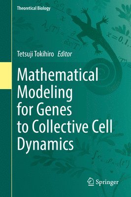 bokomslag Mathematical Modeling for Genes to Collective Cell Dynamics