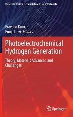 bokomslag Photoelectrochemical Hydrogen Generation