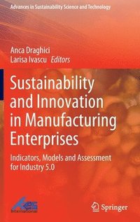bokomslag Sustainability and Innovation in Manufacturing Enterprises