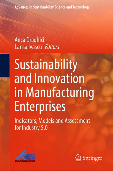 bokomslag Sustainability and Innovation in Manufacturing Enterprises