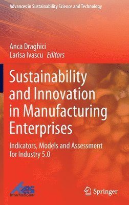 Anca Draghici, Larisa Ivascu - Sustainability and Innovation in Manufacturing Enterprises, Inbunden