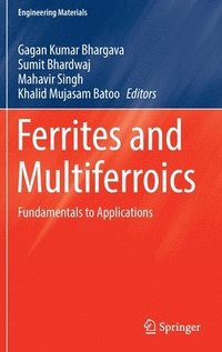 bokomslag Ferrites and Multiferroics