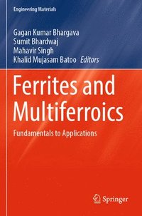 bokomslag Ferrites and Multiferroics