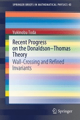 bokomslag Recent Progress on the DonaldsonThomas Theory