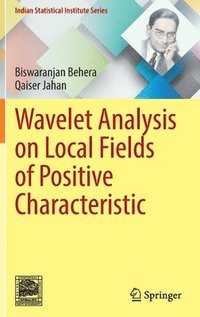 bokomslag Wavelet Analysis on Local Fields of Positive Characteristic