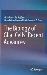 bokomslag The Biology of Glial Cells: Recent Advances