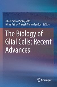 bokomslag The Biology of Glial Cells: Recent Advances