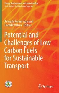 bokomslag Potential and Challenges of Low Carbon Fuels for Sustainable Transport