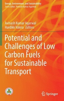 bokomslag Potential and Challenges of Low Carbon Fuels for Sustainable Transport