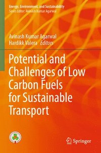 bokomslag Potential and Challenges of Low Carbon Fuels for Sustainable Transport