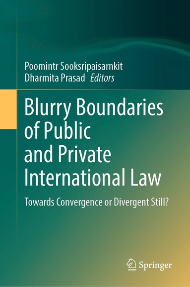 bokomslag Blurry Boundaries of Public and Private International Law