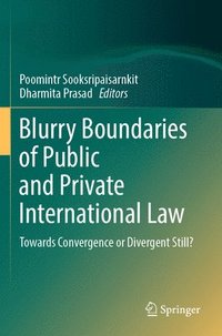 bokomslag Blurry Boundaries of Public and Private International Law