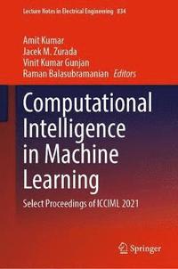 bokomslag Computational Intelligence in Machine Learning